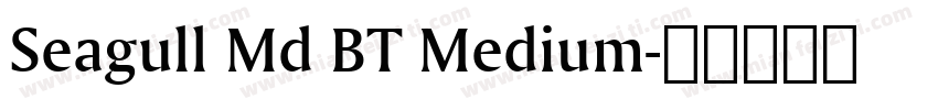 Seagull Md BT Medium字体转换